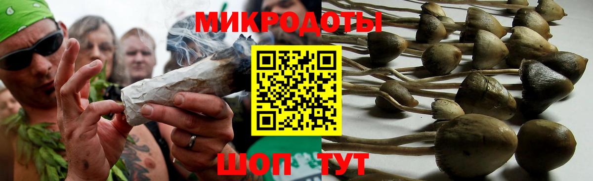 Нижнеудинск  Псилоцибиновые грибы мицелий  Вход с VPN 